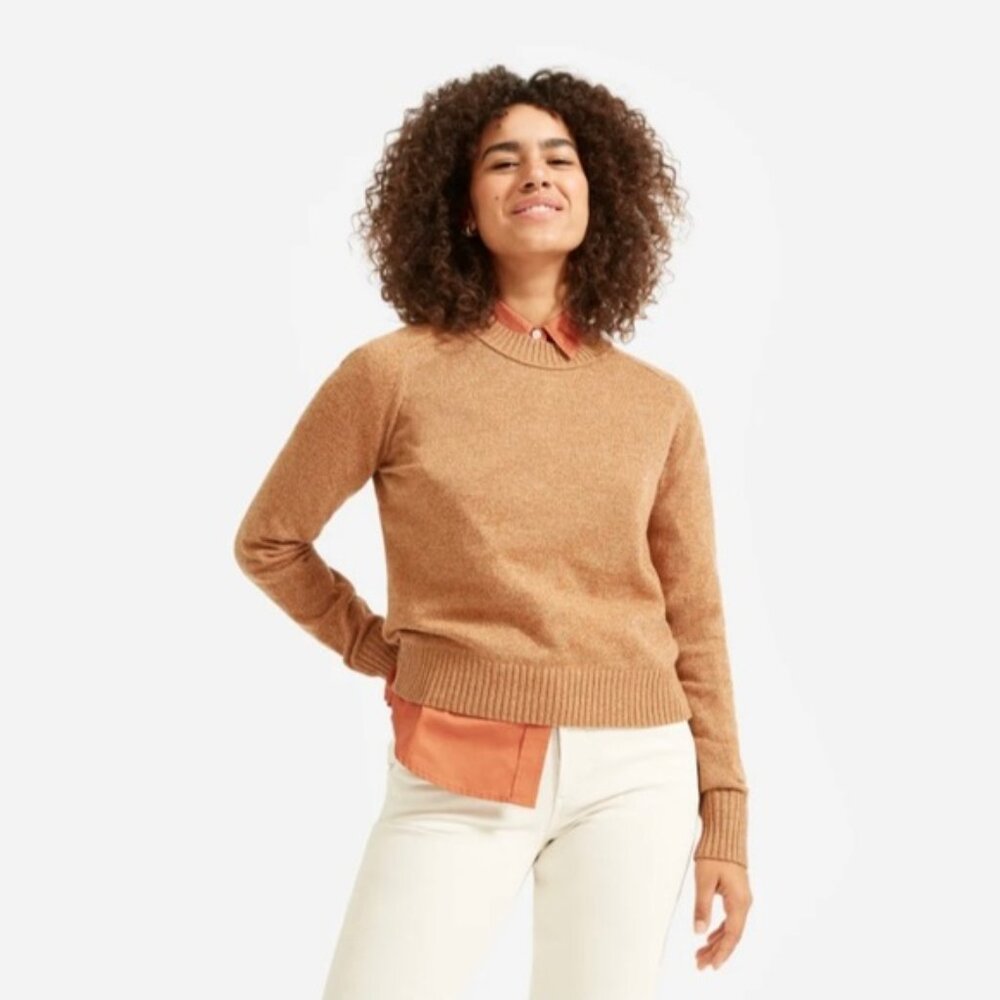 Everlane ReCashmere Vintage Crew Sweater Size S Spiced Chai Brown Cashmere Wool